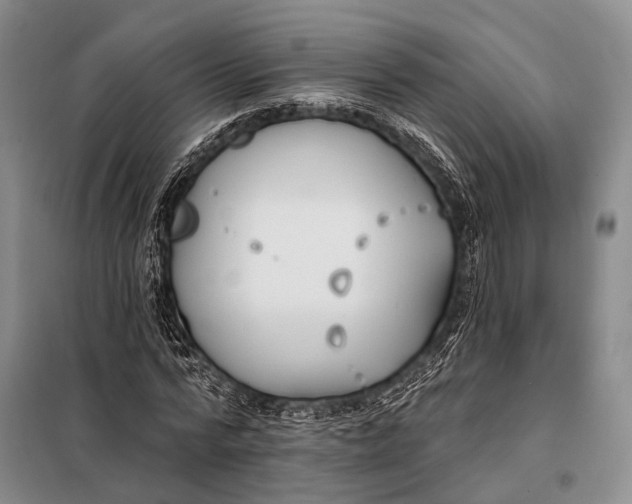 X0000098050776200804181322