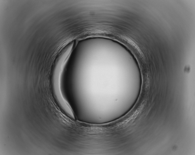 X0000098050777200804181322