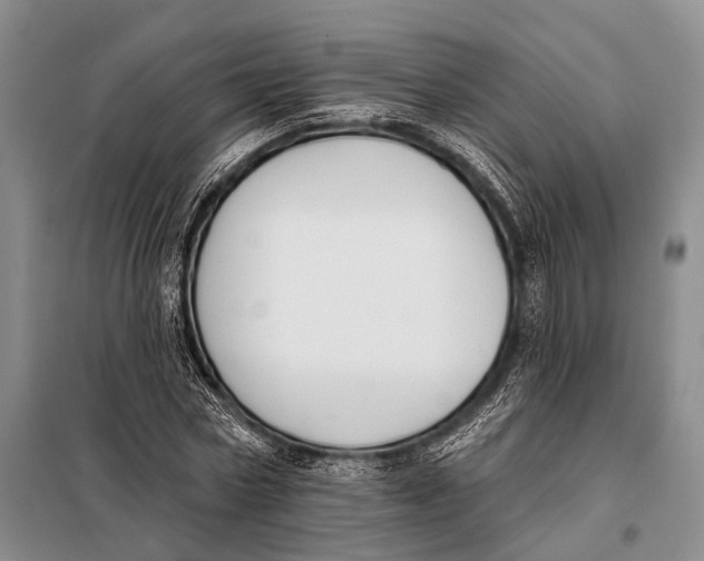 X0000098050778200804181322