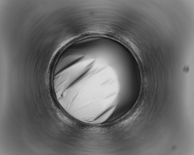 X0000098050779200804181322