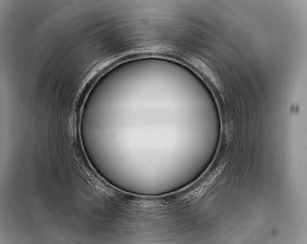 X0000098050781200804181322