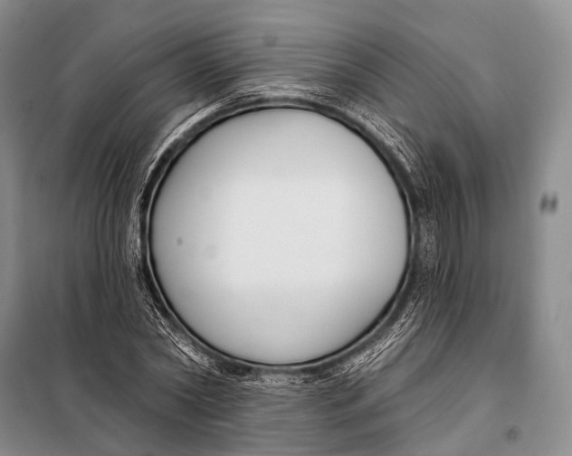 X0000098050782200804181322