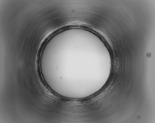 X0000098050783200804181322