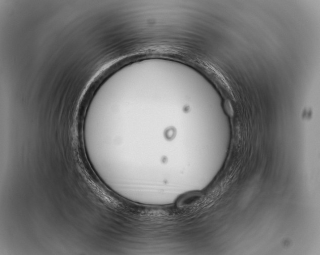 X0000098050784200804181322