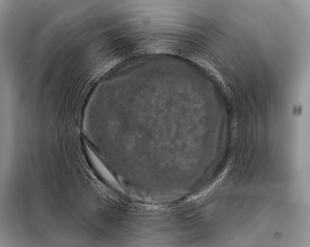 X0000098050785200804181322