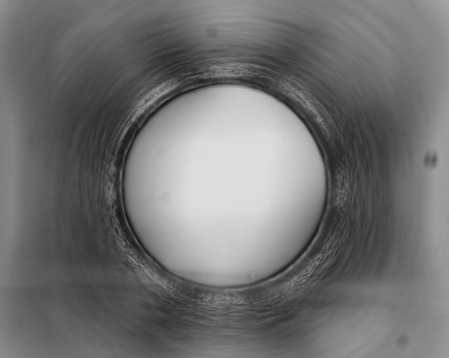 X0000098050786200804181322