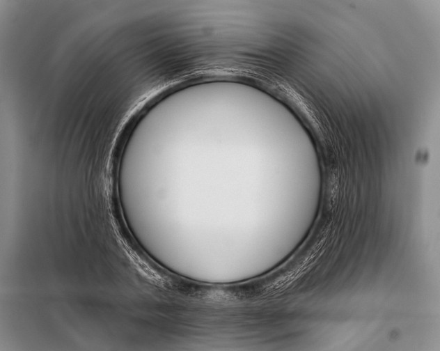 X0000098050787200804181322