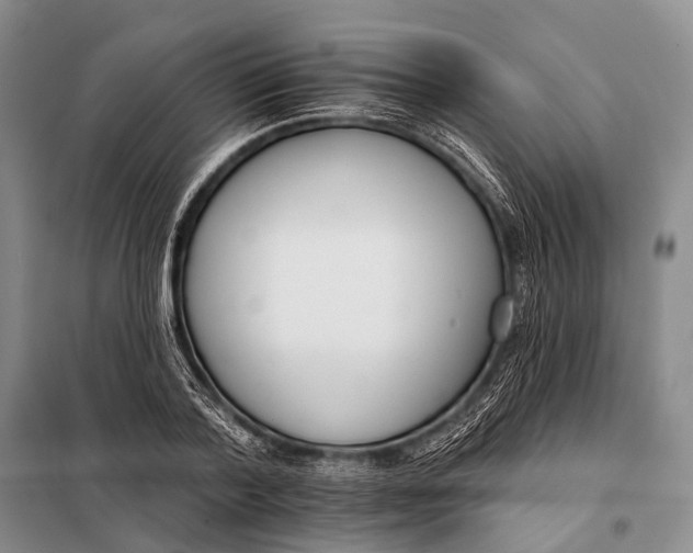 X0000098050788200804181322