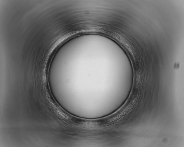 X0000098050789200804181322