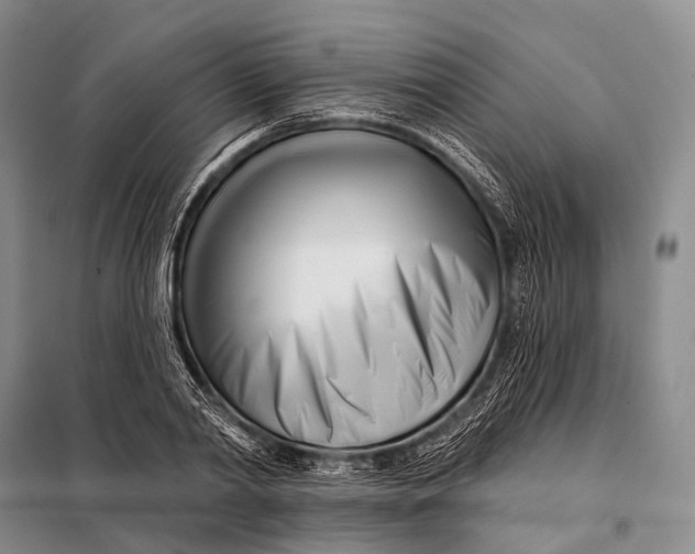 X0000098050790200804181322