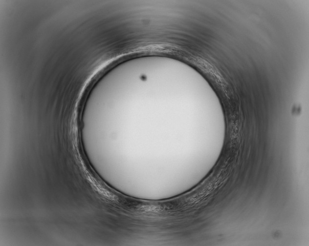 X0000098050792200804181322