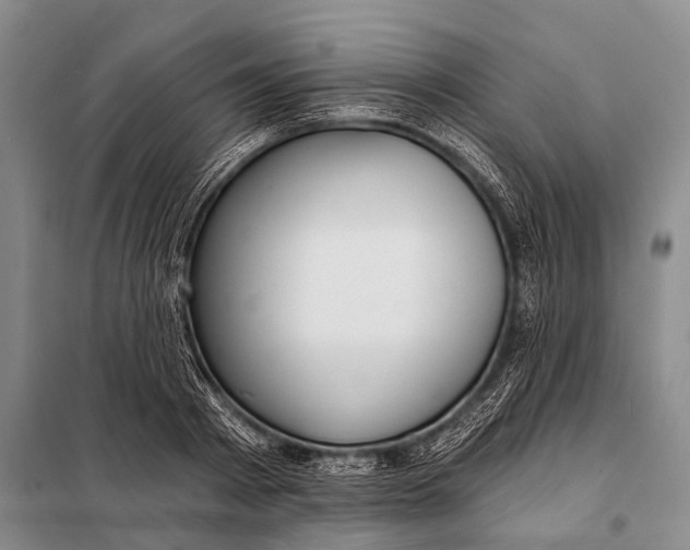 X0000098050793200804181322