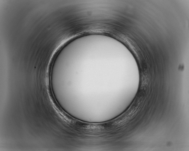 X0000098050795200804181322