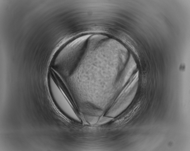 X0000098050797200804181322