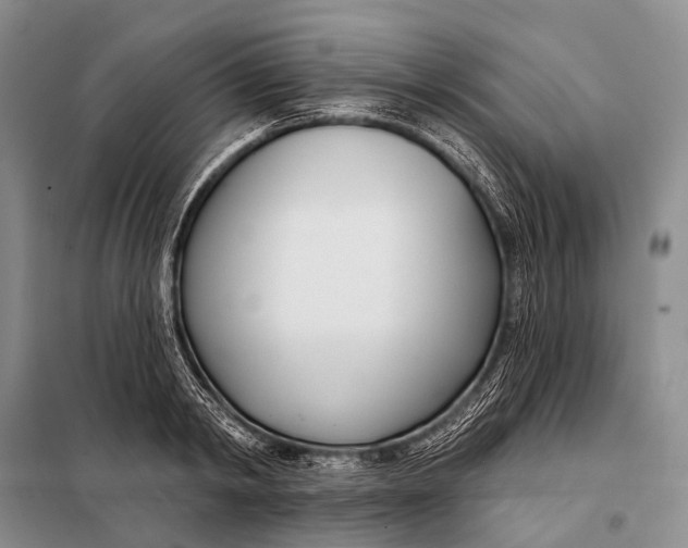 X0000098050798200804181322