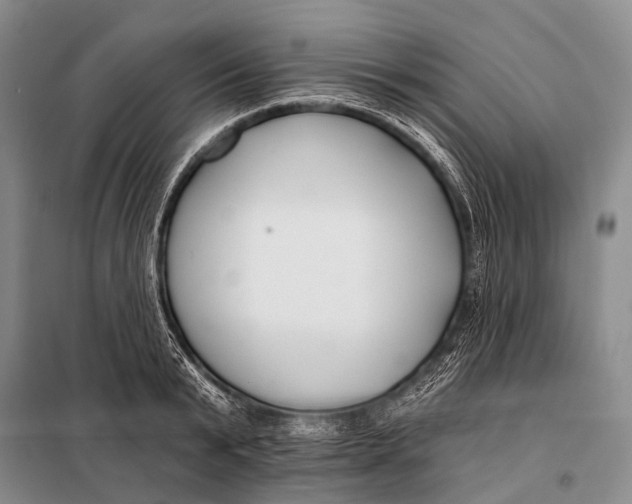 X0000098050799200804181322