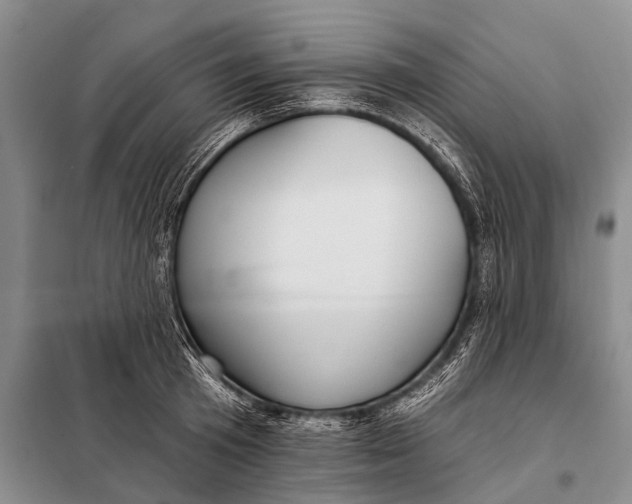 X0000098050801200804181322