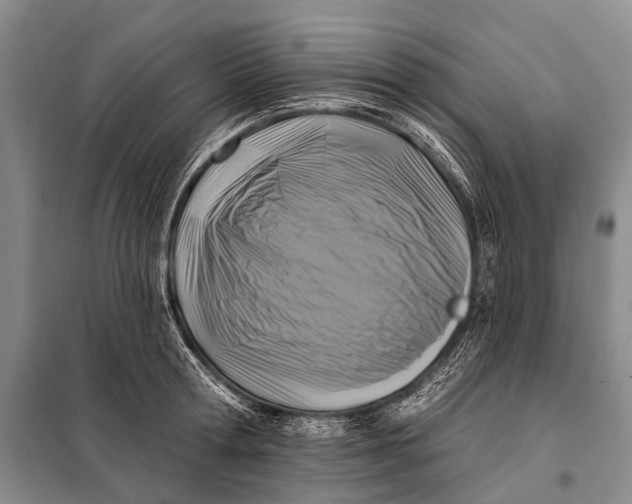 X0000098050802200804181322