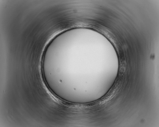 X0000098050803200804181322