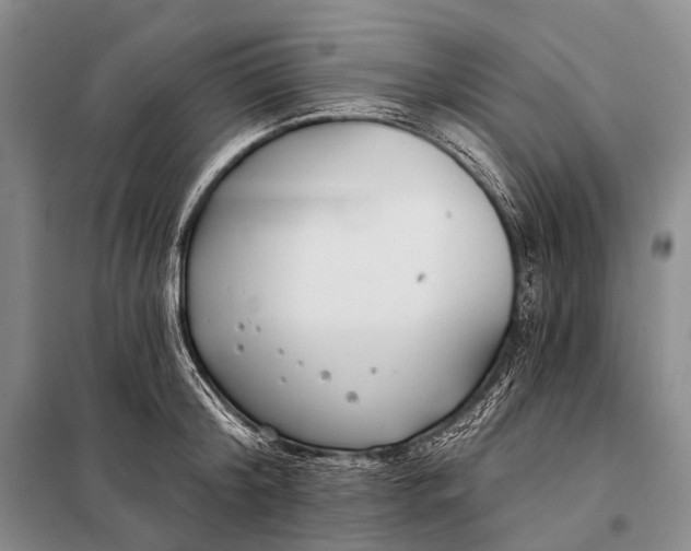 X0000098050804200804181322