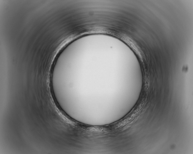 X0000098050805200804181322