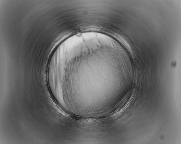 X0000098050806200804181322