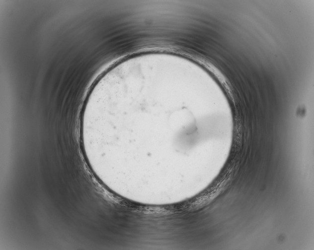 X0000098050807200804181322