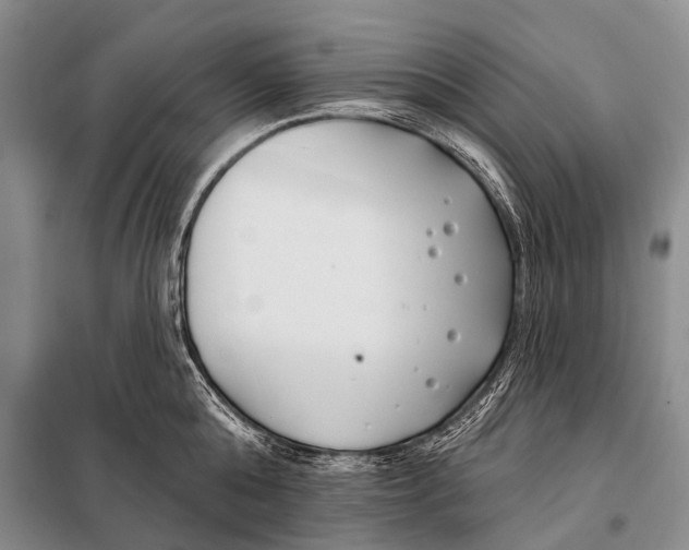 X0000098050808200804181322