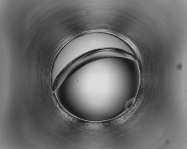 X0000098050809200804181322