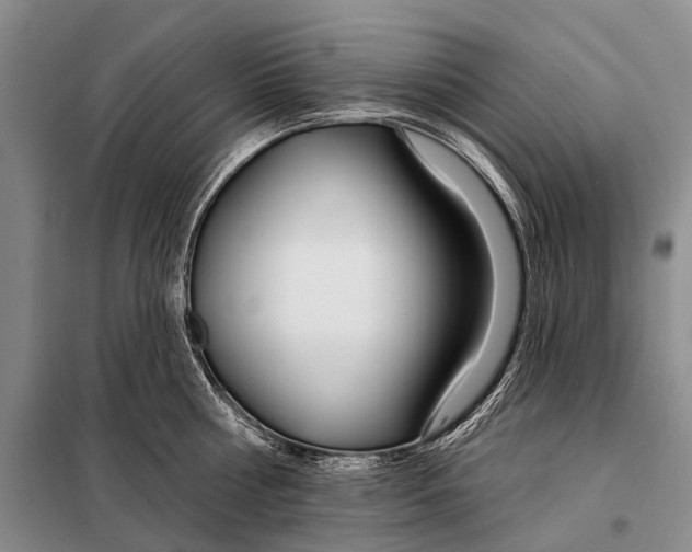 X0000098050810200804181322