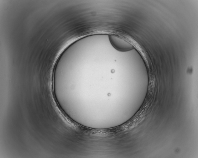 X0000098050811200804181322