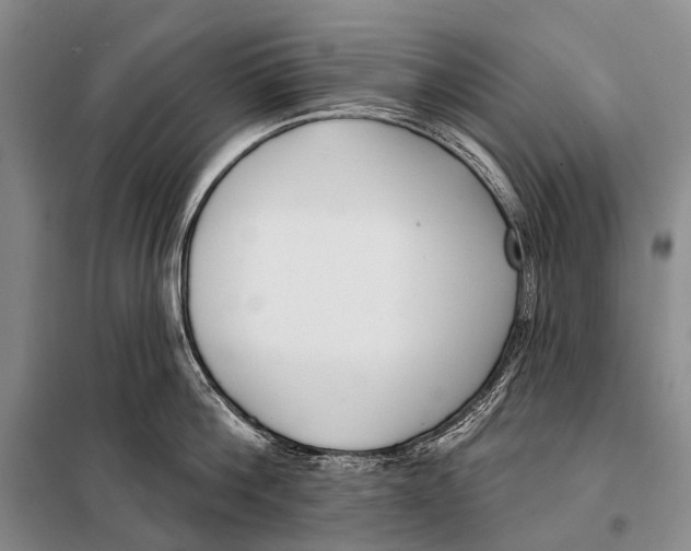 X0000098050812200804181322