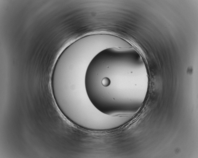 X0000098050813200804181322