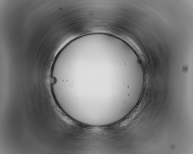 X0000098050814200804181322