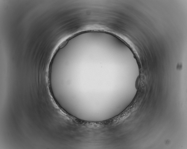 X0000098050815200804181322