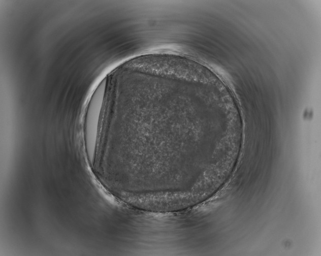 X0000098050816200804181322