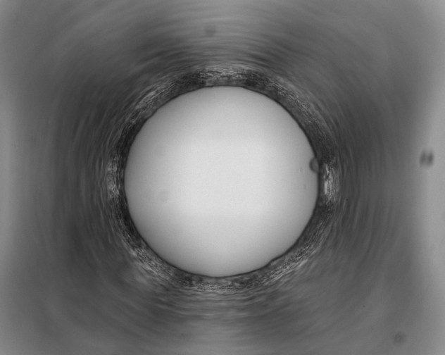 X0000098050819200804181321