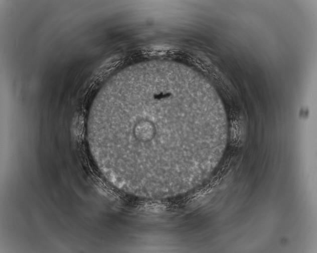 X0000098050820200804181321