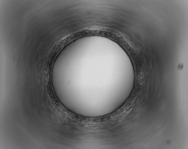 X0000098050821200804181321