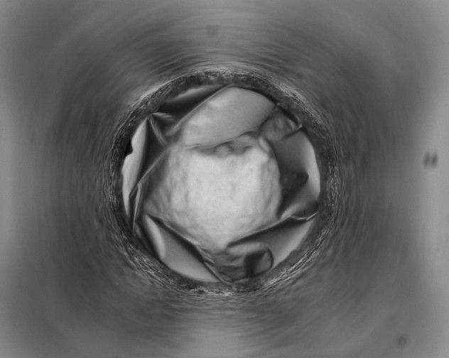 X0000098050822200804181321