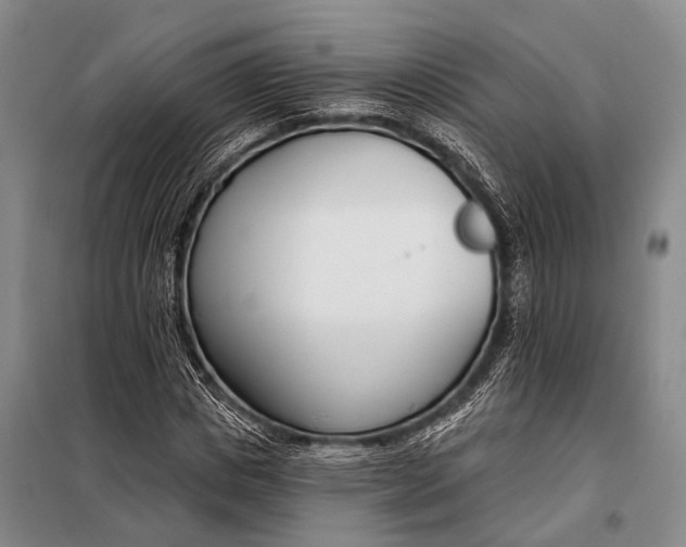 X0000098050825200804181321