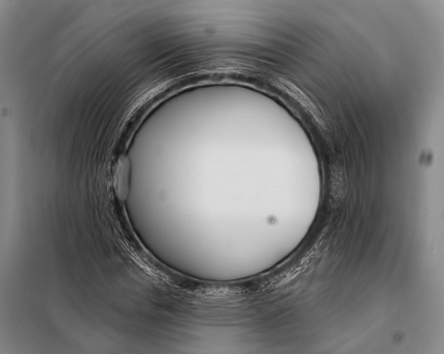 X0000098050826200804181321