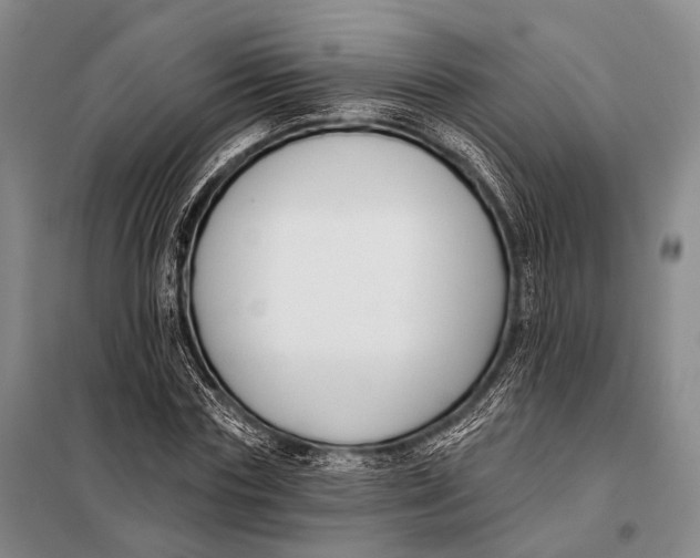 X0000098050827200804181321