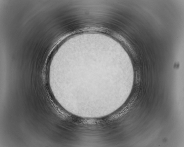 X0000098050828200804181321