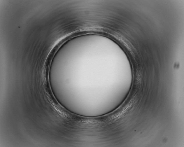 X0000098050830200804181321