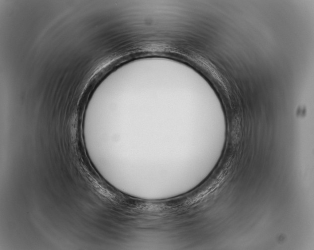 X0000098050831200804181321