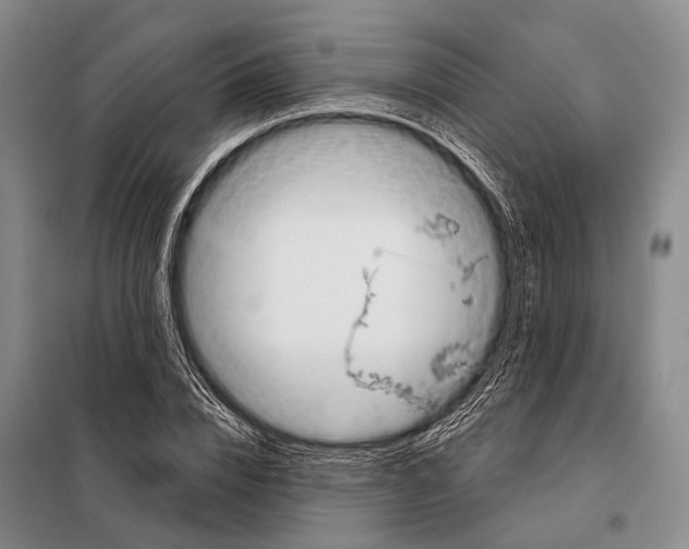 X0000098050832200804181321