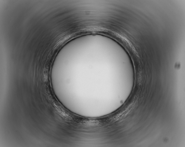 X0000098050833200804181321