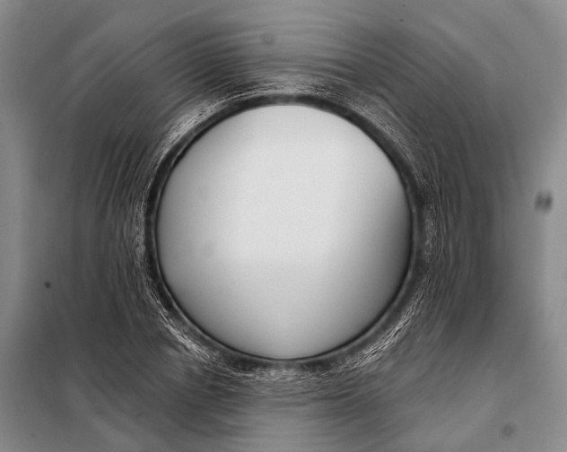 X0000098050834200804181321