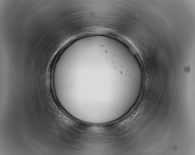 X0000098050835200804181321